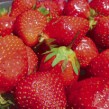 fresas00815