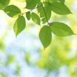 iStock_000002842544Sm