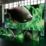 led-indoor-screen
