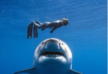 Los maestros de la luz. Fotógrafos contemporáneos para detonar tu inspiración