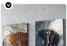 Impresiones más transparentes y llamativas