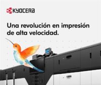 KDMX_Boletín-07 1
